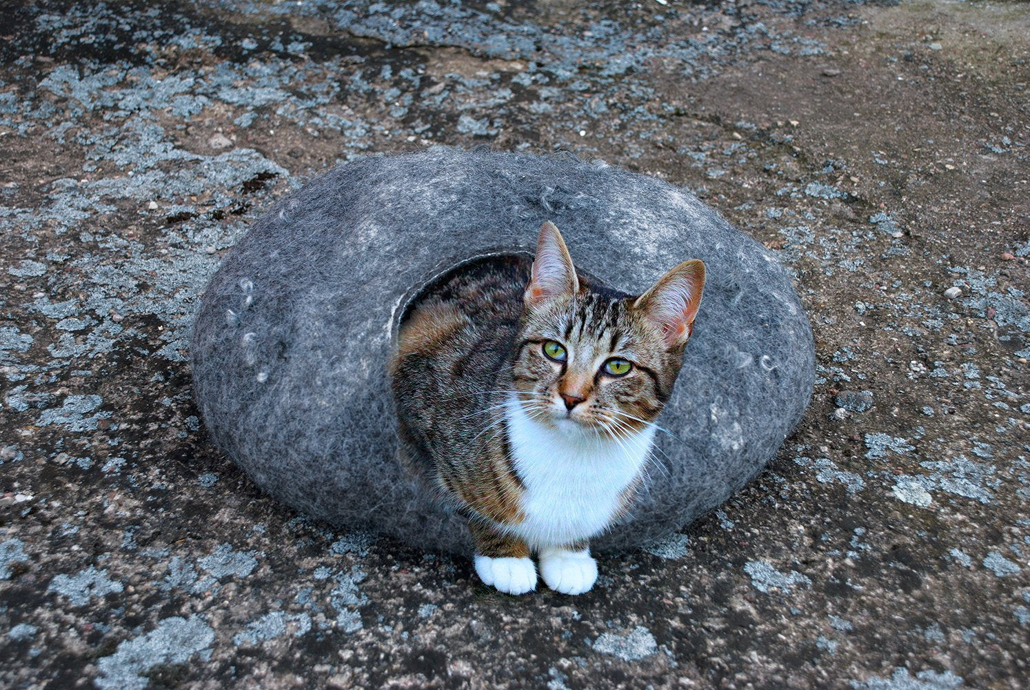 [felted_slippers],[wool_slippers], [burebure_slippers]