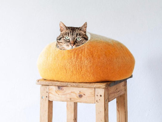 [felted_slippers],[wool_slippers], [burebure_slippers]